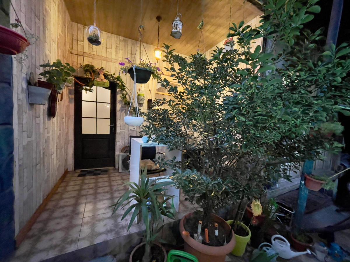 Mr Guest House Tiflis Exterior foto